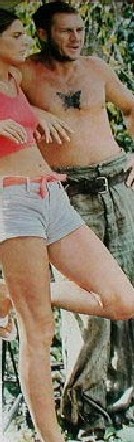 sur papillon avec ali