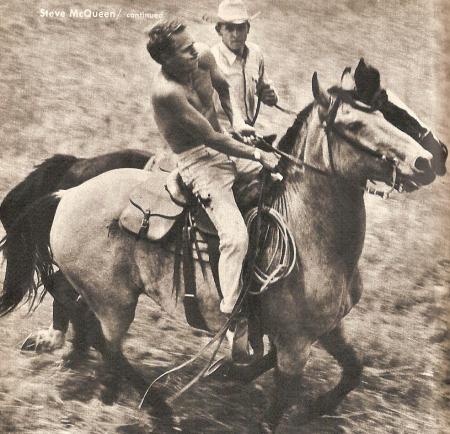 au nom de la loi-wanted dead or alive