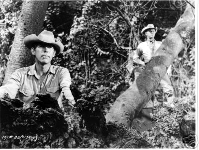 les sept mercenaires