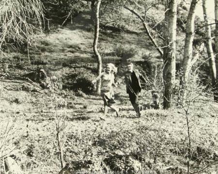 le kid de cincinnati -the cincinnati kid