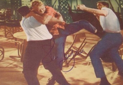 la derniere bagarre-soldier in the rain