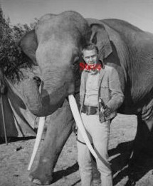 sur au nom de la loi