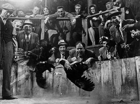 le kid de cincinatti