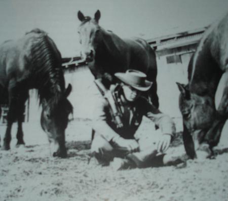 sur au nom de la loi